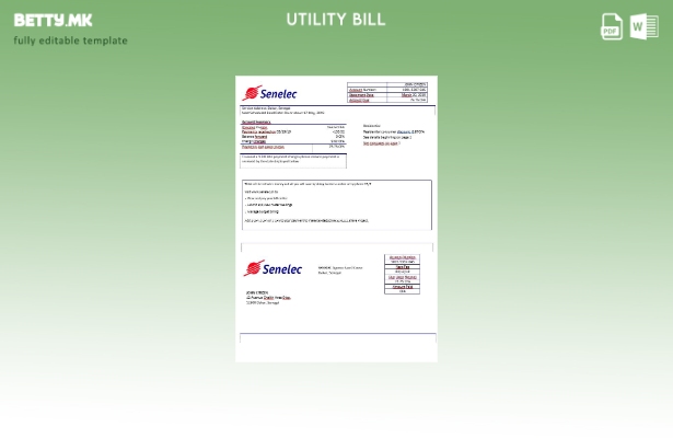 модерен стил Шаблон за сметки за електрична енергија на Сенегал Сенелек Agence S